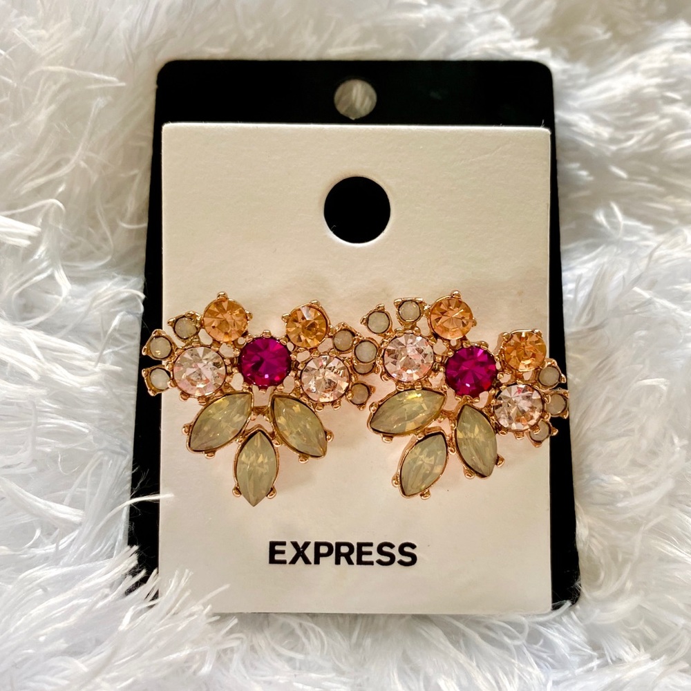Express Earrings